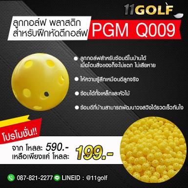 รหัสสินค้า PGM Q009   PGM Q009 HOLLOW GOLF BALL